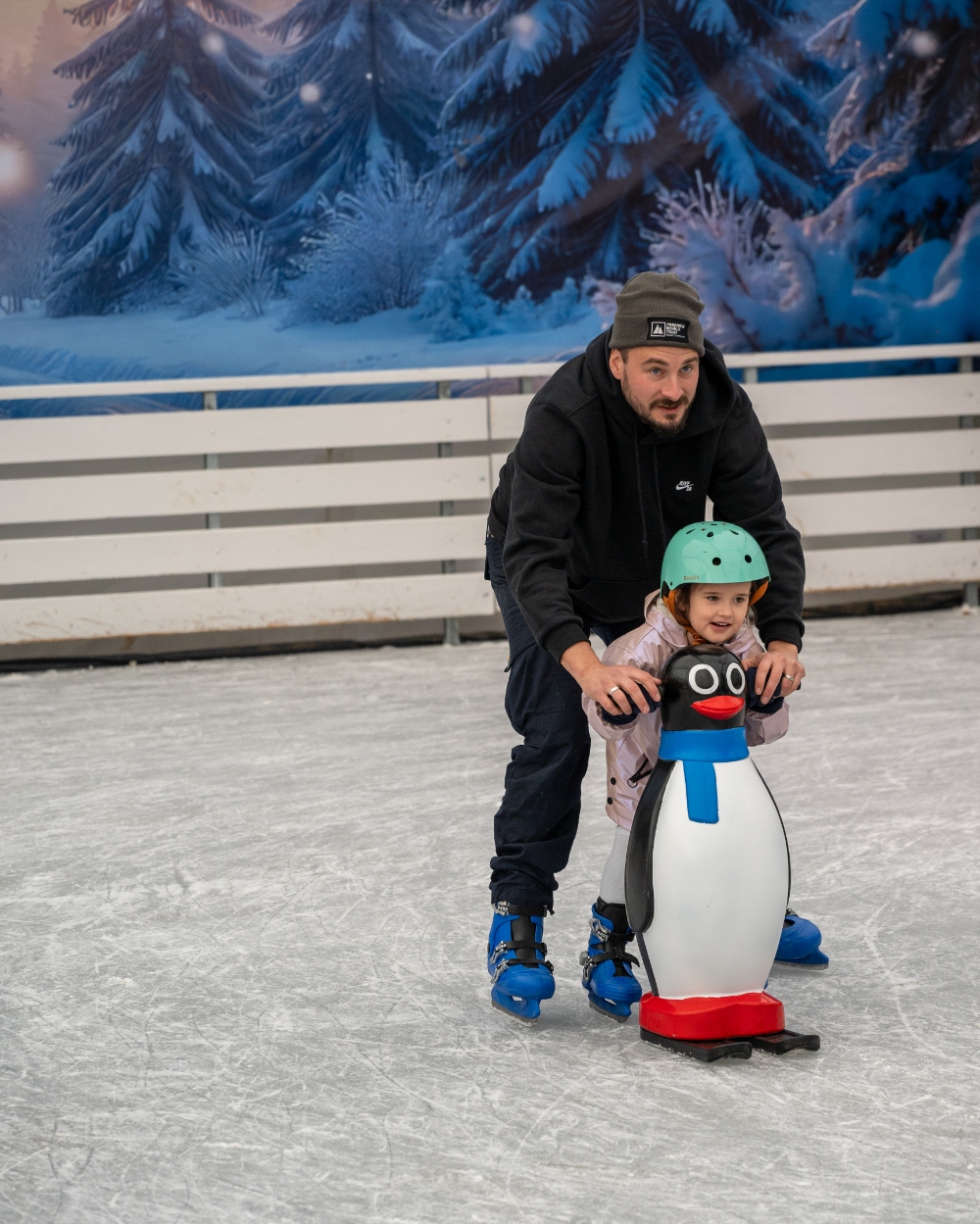 Ice Skating Winter Gardens photo by Rickee Palmer
